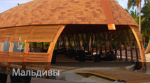 IKO в мире